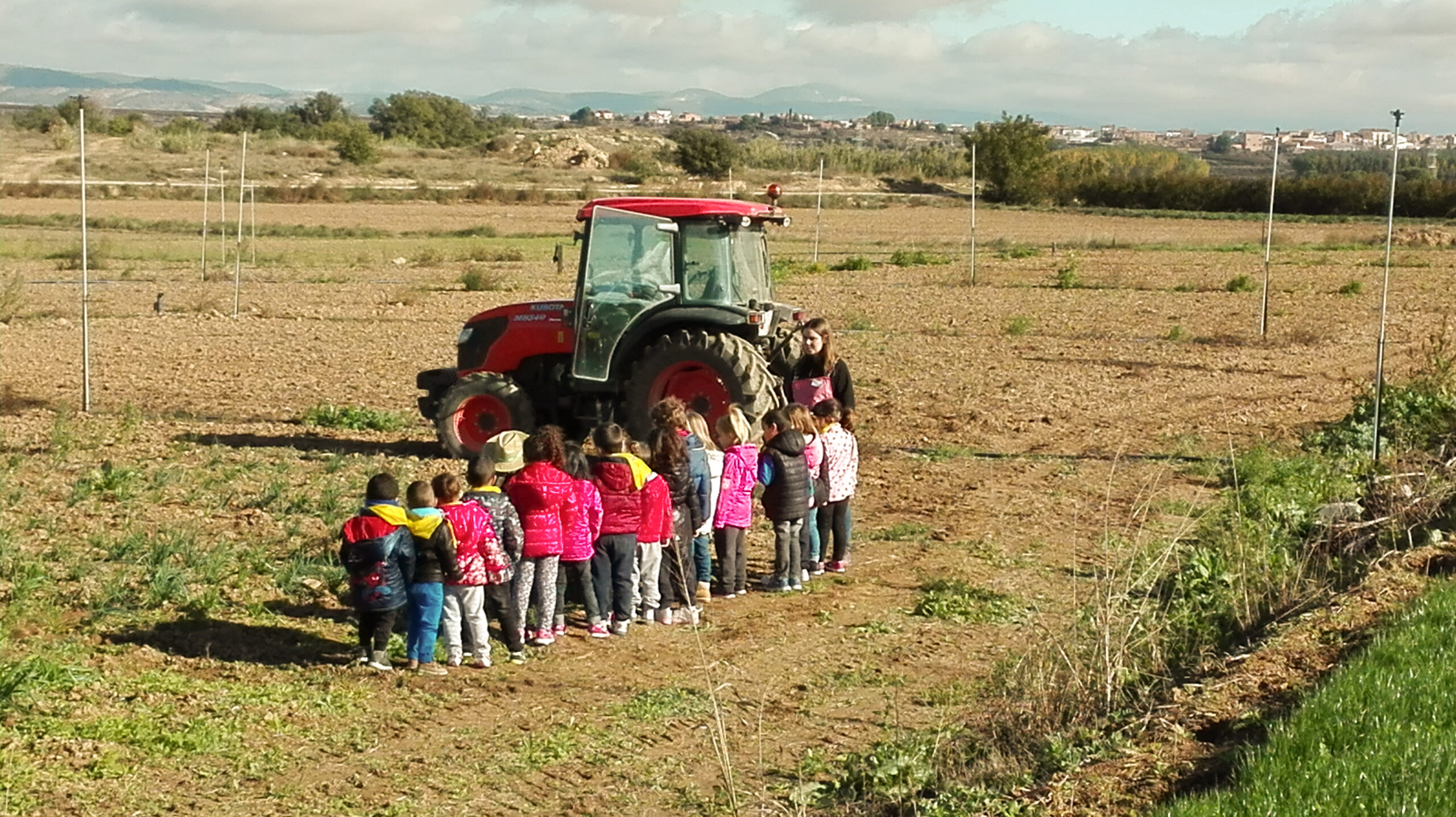 Conreus de la zona