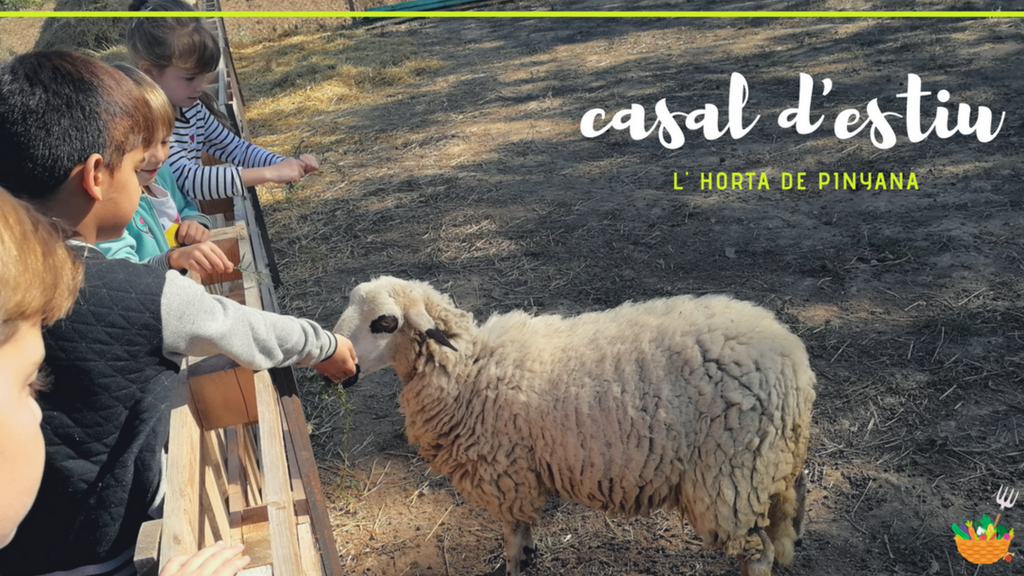 Casal d'estiu 2018